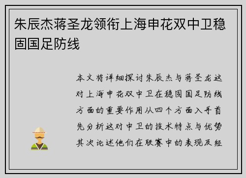朱辰杰蒋圣龙领衔上海申花双中卫稳固国足防线